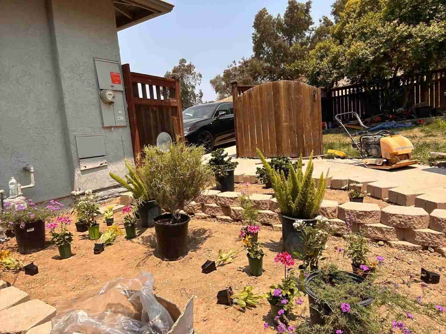 Professional Landscaping Services 31st St, San Diego, CA