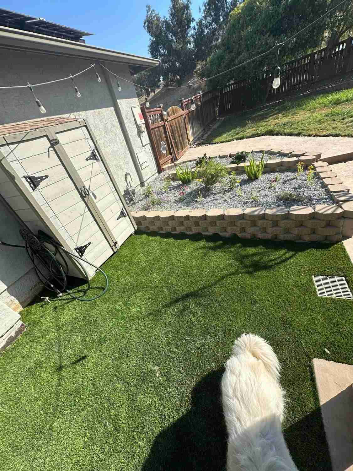 Professional Landscaping Services 31st St, San Diego, CA