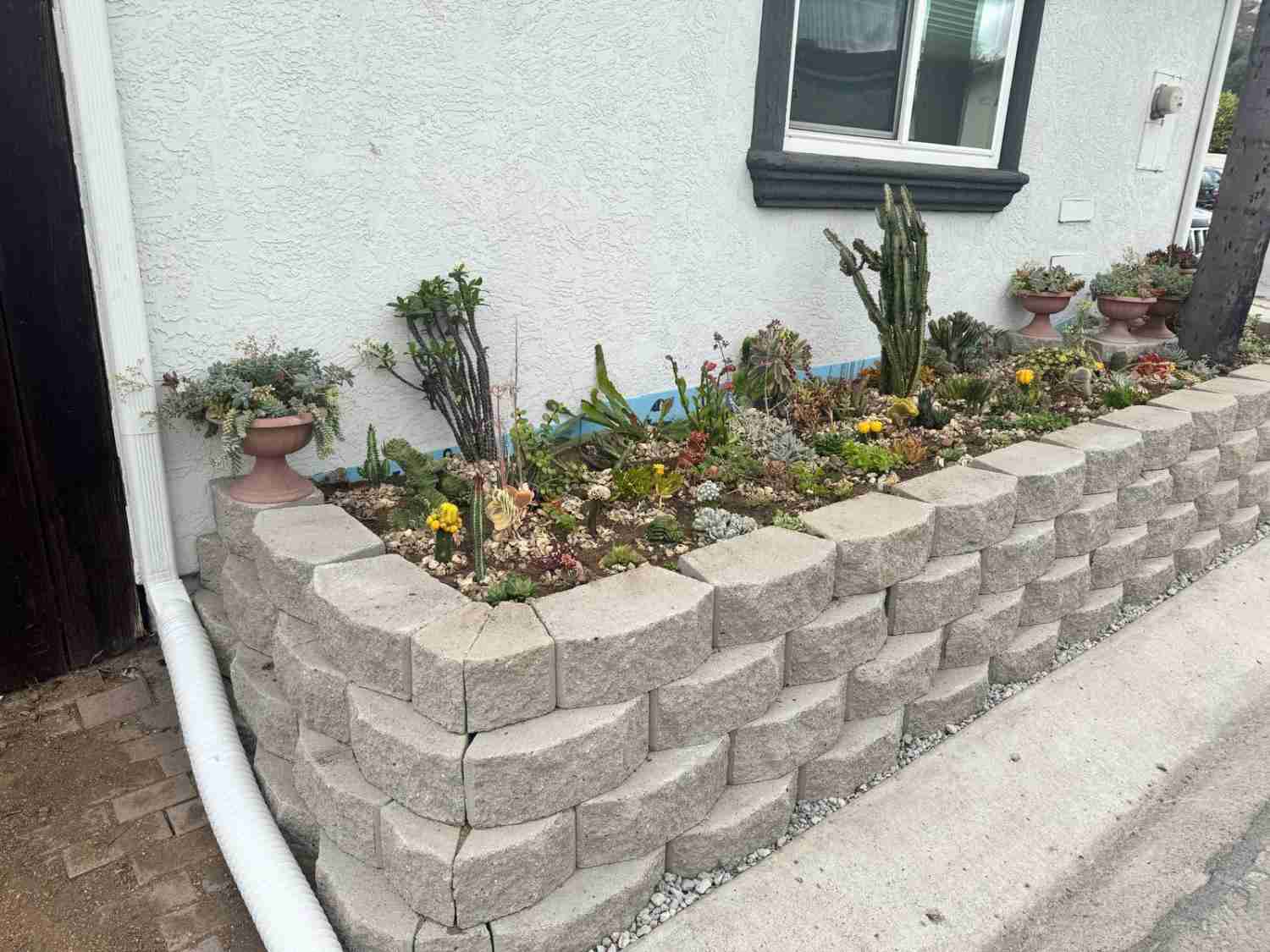 Landscaping Service David St, San Diego, CA