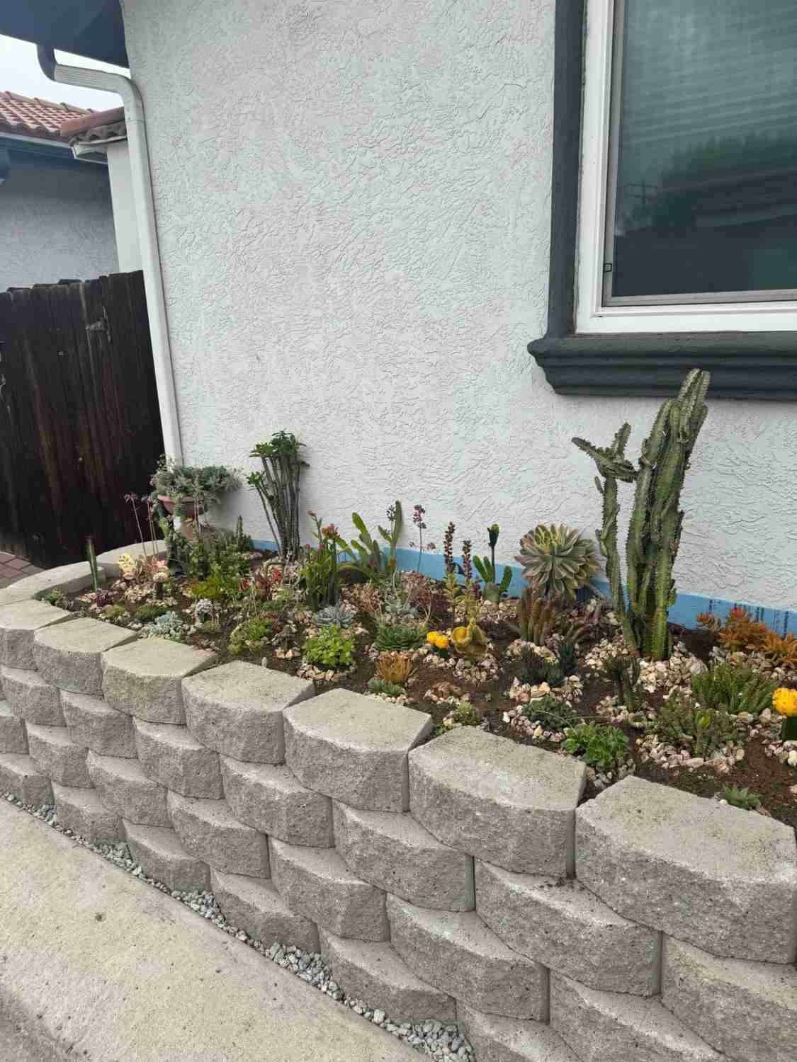 Landscaping Service David St, San Diego, CA