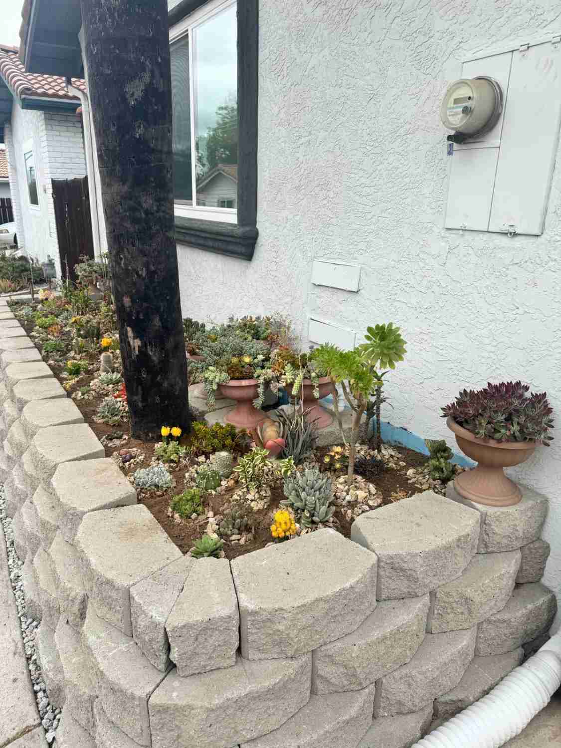 Landscaping Service David St, San Diego, CA