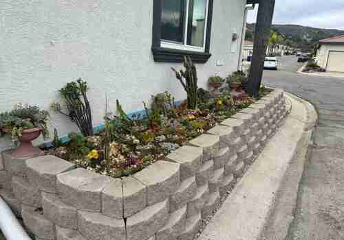 Landscaping Service David St, San Diego, CA