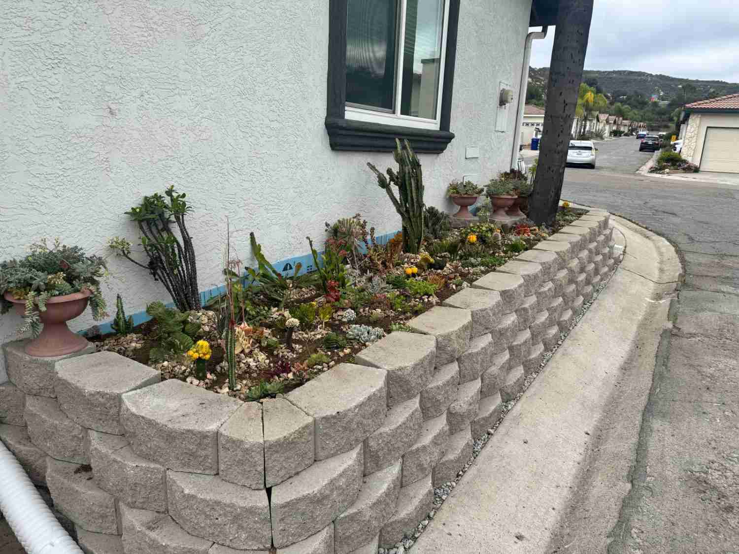 Landscaping Service David St, San Diego, CA