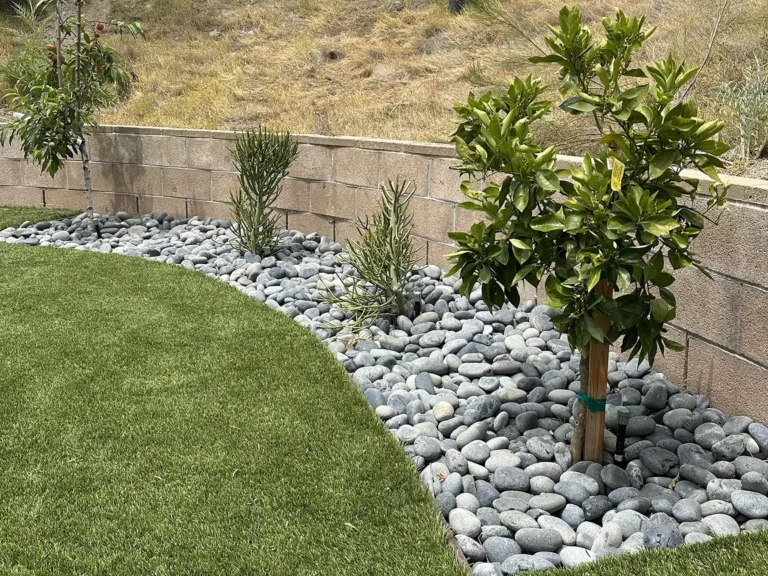 MODERN BACKYARD LANDSCAPING IN SAN DIEGO Thumbnail